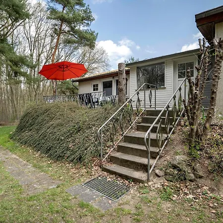 Baumfuchs Ferienbungalow Ferienhaus *